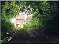 Old farming buildings hidden by trees