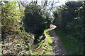 Footpath by Alder Stream