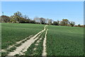 Footpath across field