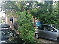 Rear of shops on Market Place, Hampstead Garden Suburb