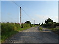 Farm road, South Kingennie 