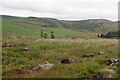 Clevage Hills and Montalt