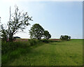 NO5143 : Field margin near Whitebrae by JThomas