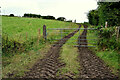 Muddy lane to field, Corbally