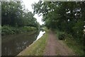 Birmingham & Fazeley Canal towards Drayton Foot Bridge