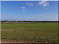 Field southwest of the railway line