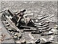 Boat remains at Pembroke Dock