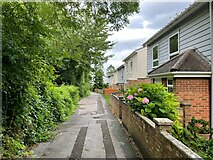 SU6152 : Corfe Walk through the Winklebury estate by Mr Ignavy