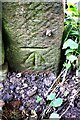 Benchmark and snail on gatepost at field gateway on SE side of A686