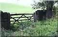 Field gateway on SE side of A686 at Barbary Plains