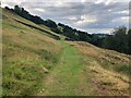 Footpath on Eastern slope of Kerridge Hill