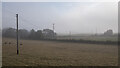 Fields near Cottown