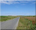 Moss Road near Aros Moss