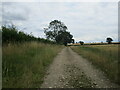 Farm track and footpath to Old Post Office Road