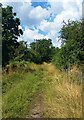 Track at the end of Pudding Bag Lane