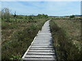 SD4583 : Boardwalk heading south, Foulshaw Moss nature reserve by Christine Johnstone