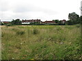 Houses on Coldmoorhome Lane seen across field