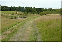 NS9675 : Pond, Muiravonside Country Park by Richard Sutcliffe