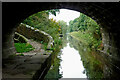 Macclesfield Canal near Congleton in Cheshire