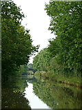 SJ8561 : Macclesfield Canal near Congleton in Cheshire by Roger  D Kidd