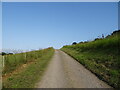 Farm road towards Scotscraig Mains