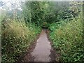 Path at the end of Ravenshaw Way, Solihull