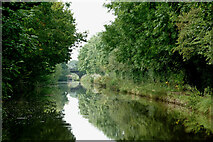 SJ8561 : Macclesfield Canal in Congleton, Cheshire by Roger  D Kidd