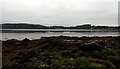 NX6648 : The Dee estuary seen from Point Of Isle, St. Mary's Isle, Kirkcudbright by habiloid