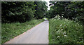 Track heading towards Castledykes Road from St. Mary