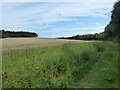 NU2417 : Field edge footpath near Howick, Northumberland by Jeremy Bolwell