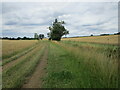 Footpath along the parish boundary