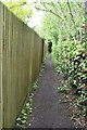 Footpath out of Mereworth