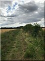 Bridleway near Upthorpe