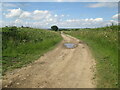 Court  Moor  Lane  (track)  to  Woodhead  Field  Lane