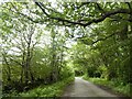 Woodland north of Higher Hartswell Farm