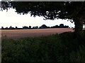 SP3088 : Field of stubble at dusk, Park Lane, Astley by Alan Paxton
