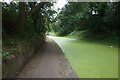 Tame Valley Canal towards Perry Barr Lock #8