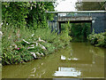 Trent and Mersey Canal (Hall Green Branch) near Hardings Wood