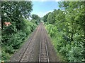 Radford to Trowell Railway
