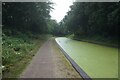 Tame Valley Canal towards Freeth Bridge