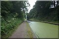 Tame Valley Canal towards Piercy Aqueduct