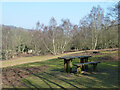 Picnic table, Abinger Roughs