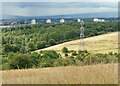 Woodland north of Drumchapel