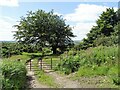 Farm track off Tower Road