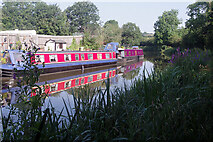 SP0272 : Worcester & Birmingham Canal, Alvechurch by Stephen McKay