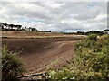 NY1267 : Field near Glenstuart by David Dixon