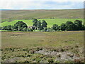 Looking towards North Ings