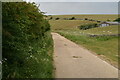 Track into Ringwood Bottom