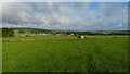 Early morning view northwest to Biggin from field path