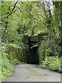 Disused railway bridge